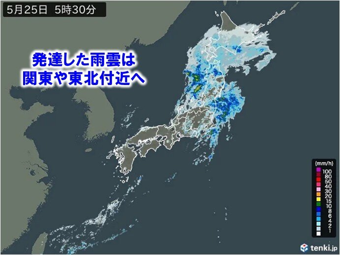 25日朝にかけて太平洋側で大雨の所も 関東は局地的に激しい雨 北日本は雨が続く