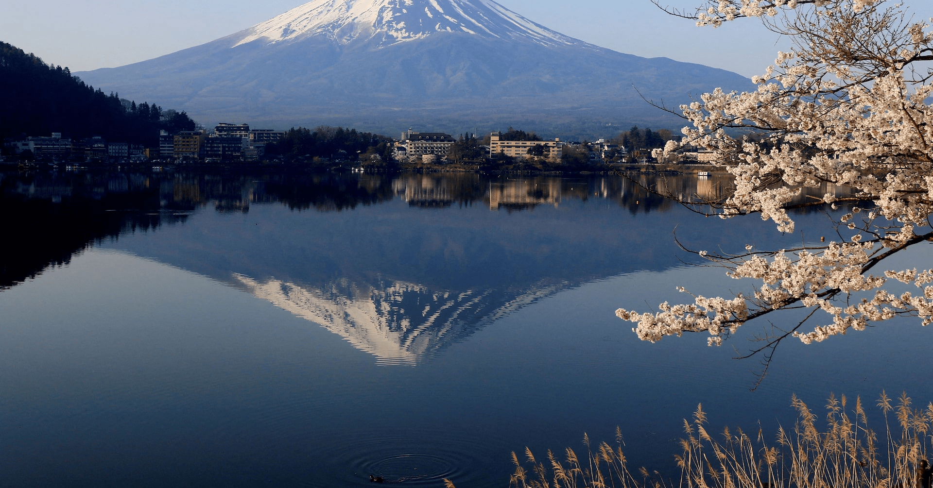 訂正 富士山に新交通システム、山梨県が提案へ 路面電車案に代わり＝関係者