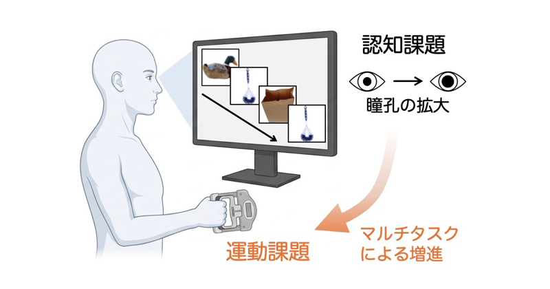 「ながら作業」が身体能力を向上させる