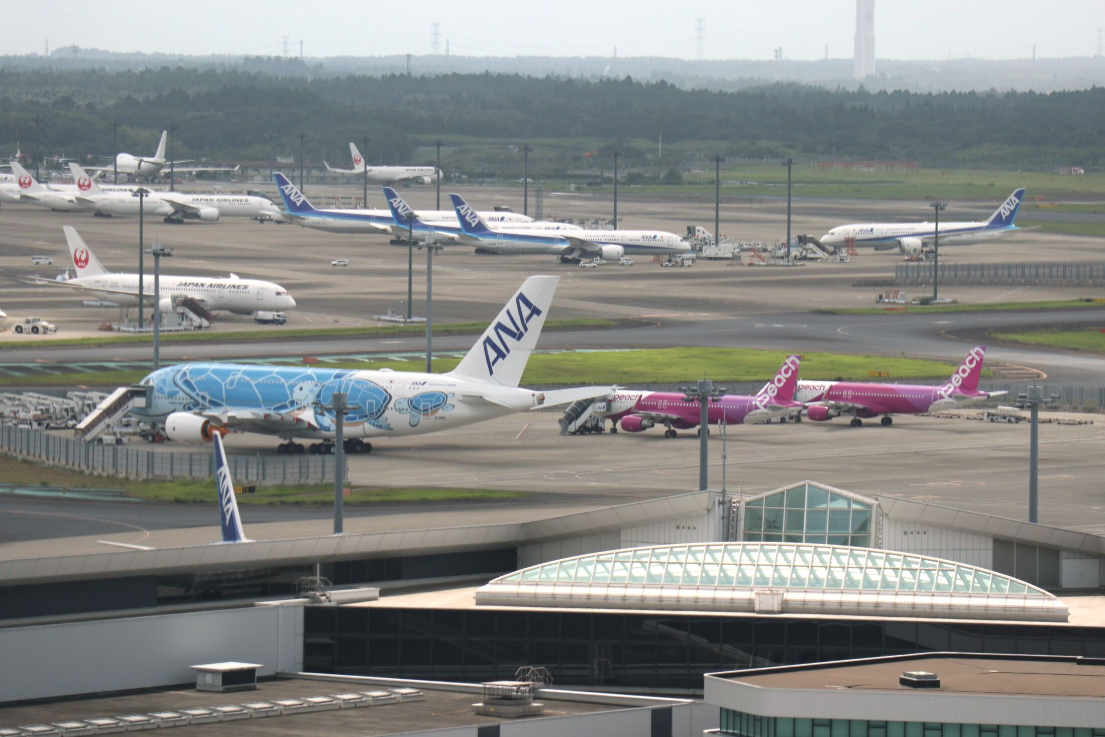 《立ち入り禁止エリアに侵入》フジテレビが成田空港で“出禁トラブル”を起こしていた（文春オンライン）