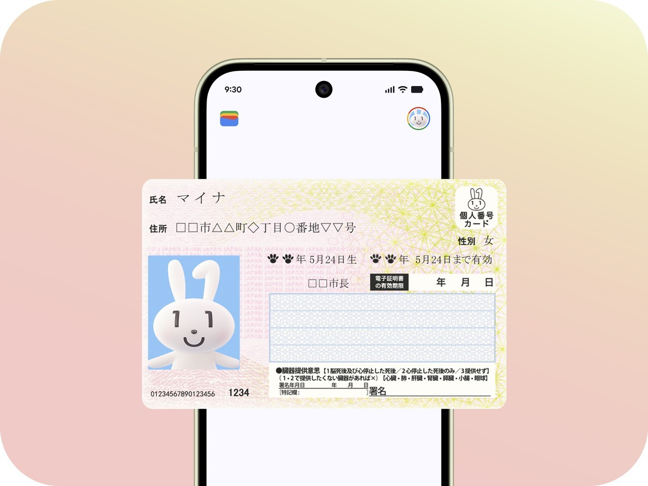 Androidのマイナンバーカード、対応機種をデジタル庁が公表（CNET Japan）