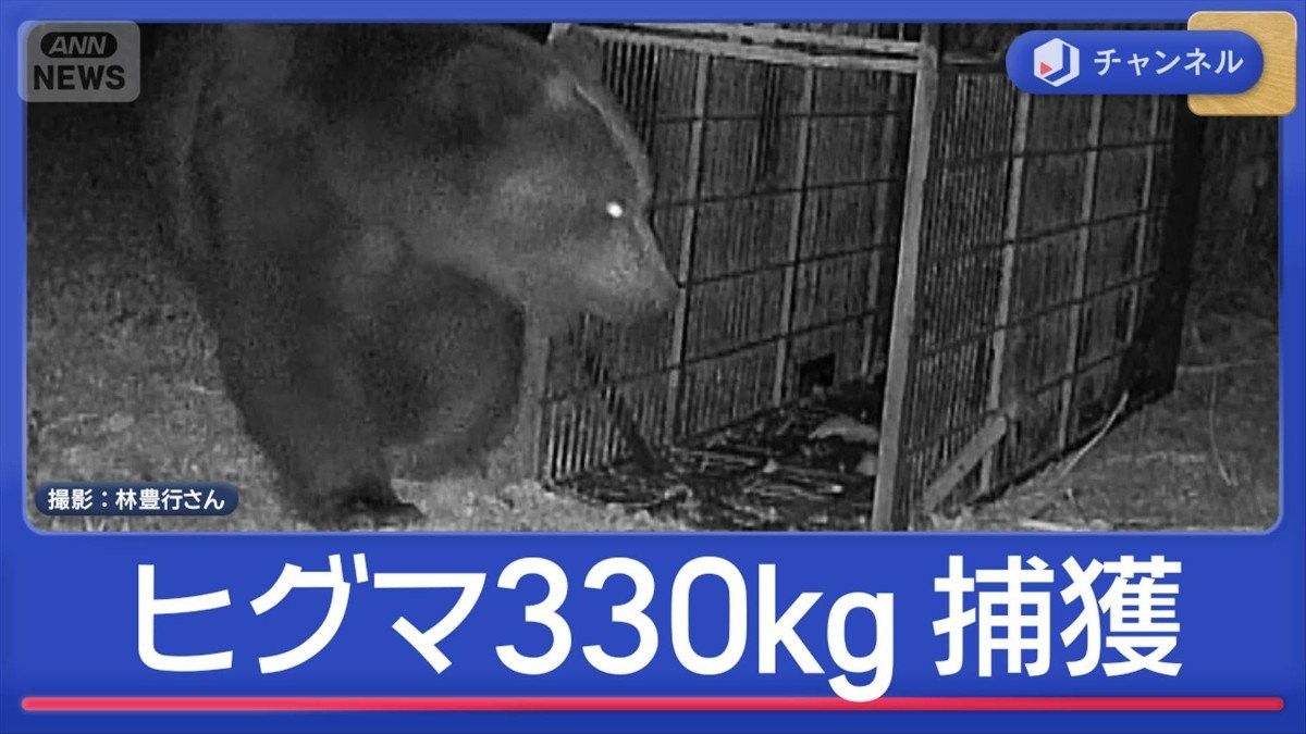 目撃数が“4月最多”観光地もクマ対策続々