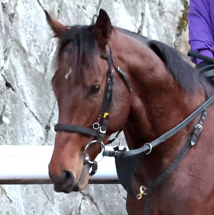 続・中東です（栗東）