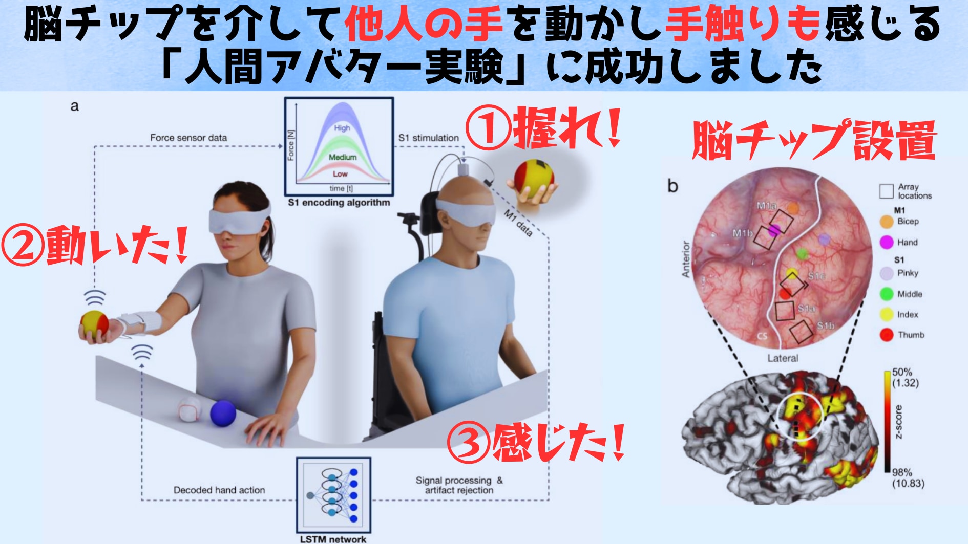 人間アバター実験成功――脳の命令で「他人の手」を動かし物の手触りを感じる
