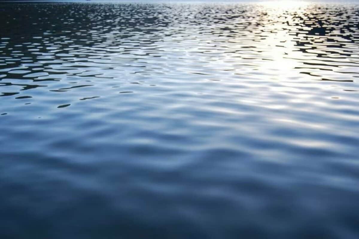 【茨城県】漁港湾内で釣り上げた「94cmの巨大ヒラメ」 とんでもない大きさに「もはや掛け布団だ」