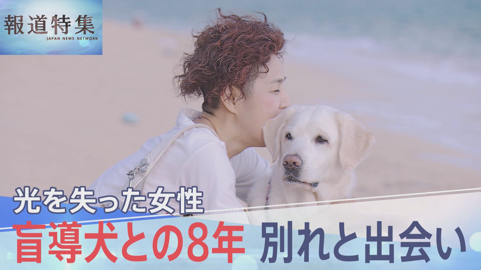 「いつまでもいつまでも大好きです」引退する盲導犬への願い 8年寄り添った“相棒”との別れ 最後の日も笑顔で【報道特集】