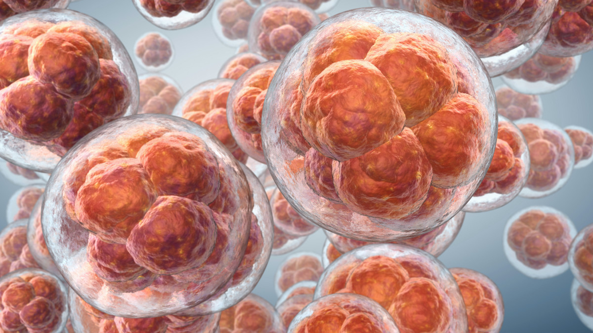 ゼロから作り出した人工細胞を成長・複製させることに科学者が初めて成功