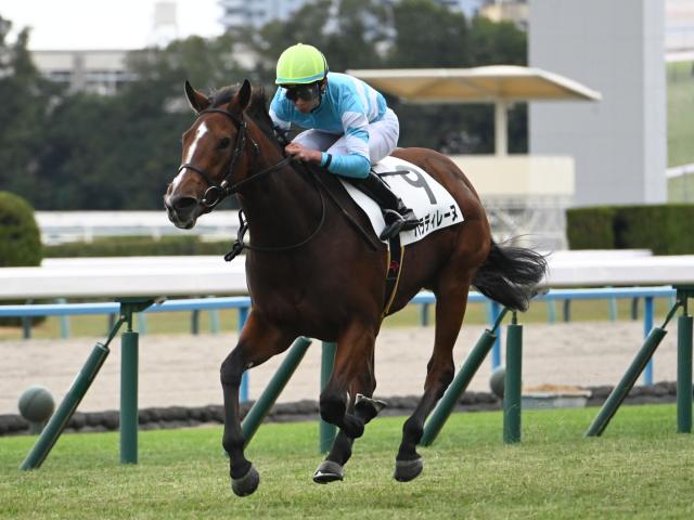 【秋華賞予想】3歳牝馬三冠の最終関門は枠次第？ AIは妙味ある一頭を指名