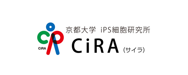 1型カテコラミン誘発性多形性心室頻拍（CPVT）iPS細胞から作製した単一の心筋細胞の活動電位とカルシウムイオン濃度の変化を同時光学記録｜ニュース｜ニュース・イベント｜CiRA（サイラ）