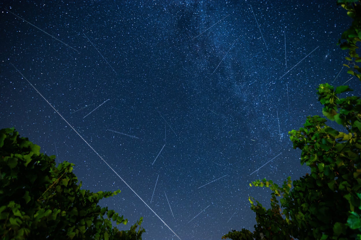 【ペルセウス座流星群】出現のピークと見やすい時間帯は？（2025年8月）