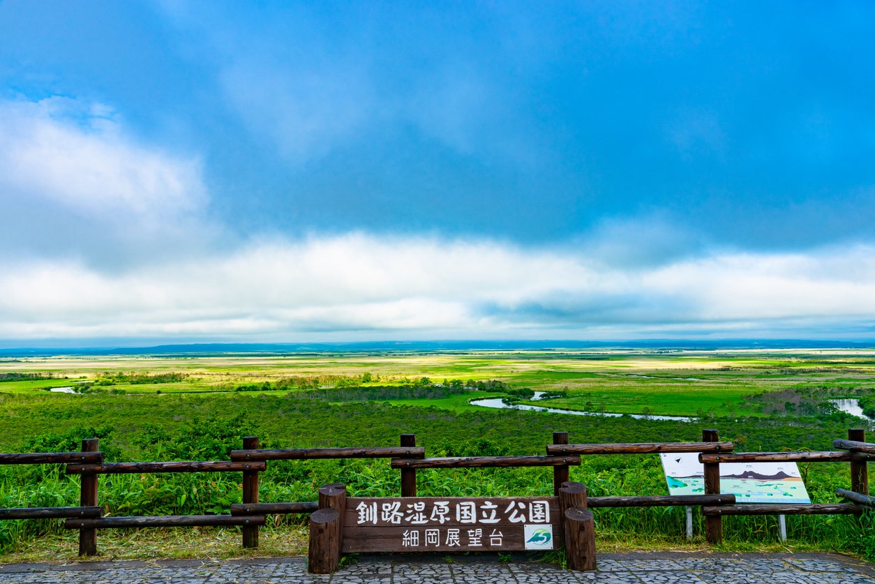 釧路湿原にメガソーラーは必要か：経済性と「炭素貯蔵庫」としての価値を考える