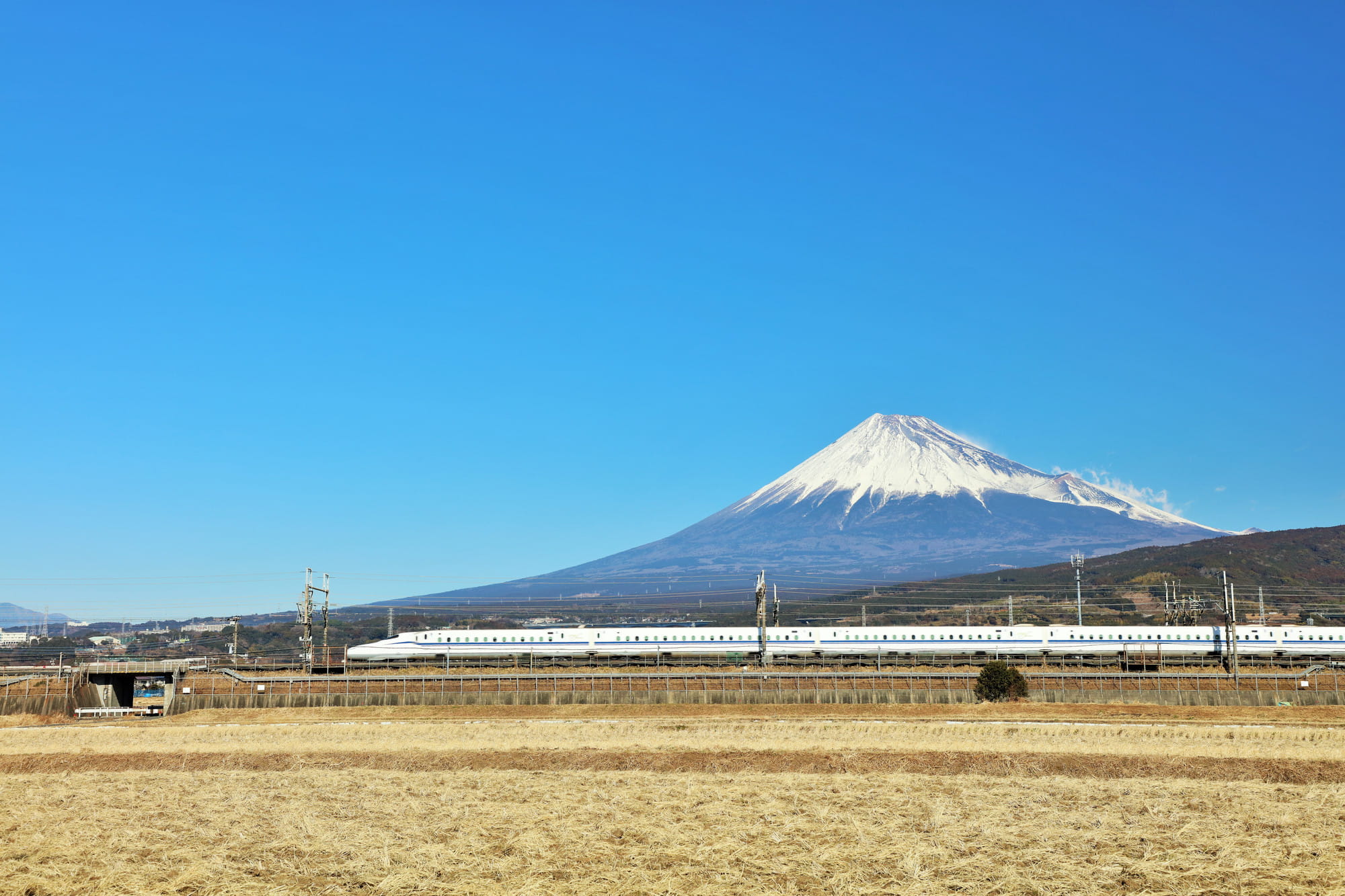 「静岡土産ならこれでしょ」 老舗の“静岡銘菓”が大好評 「モッチモチでおいしい」「もうひと箱買えばよかった」