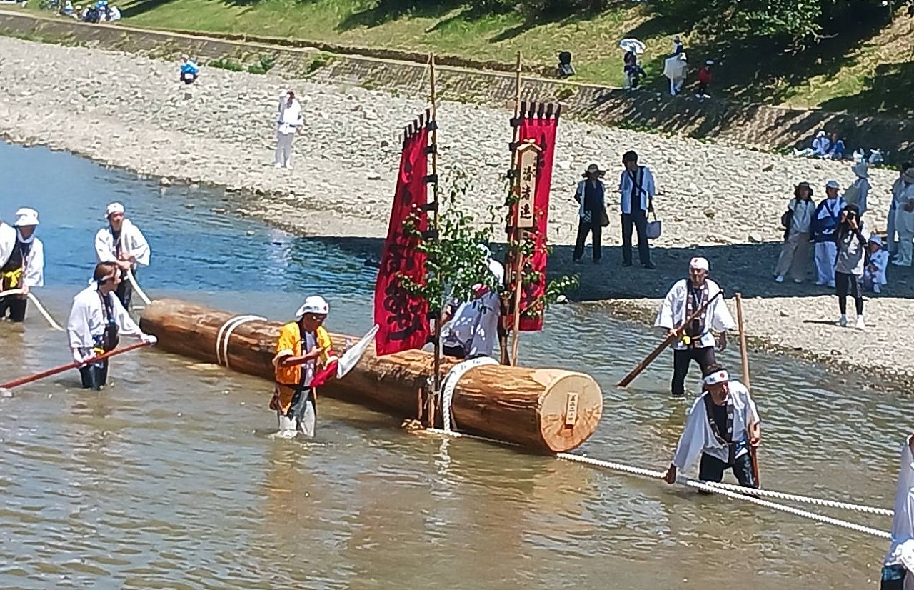 20年に一度しかない「木をひっぱる祭り」に参加する (1