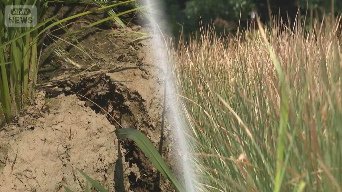 全国各地で水不足 新米ピンチでコメ農家は悲鳴 ダム貯水量大幅減でプール営業中止も
