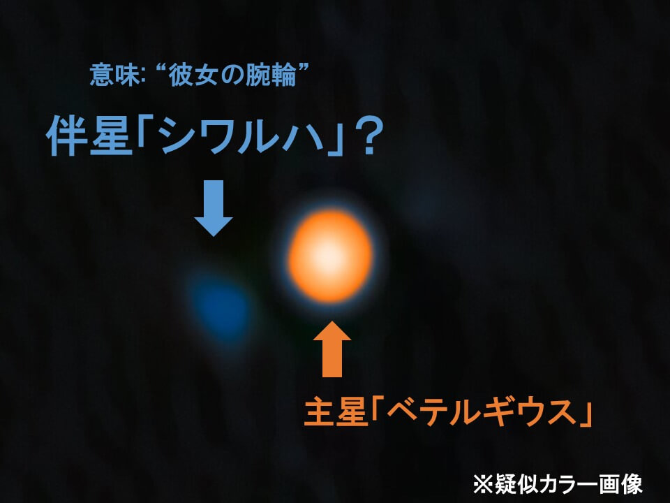 ベテルギウスの伴星を発見か？ 名称「シワルハ」提案も、存在の確認には数年かかる可能性