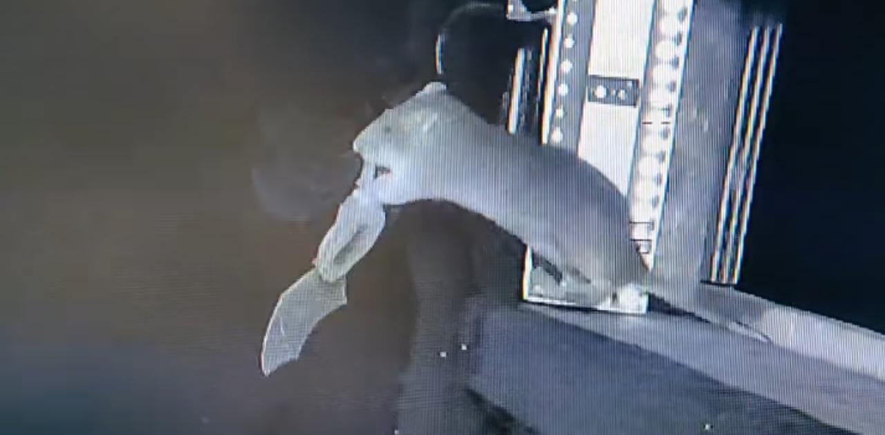 【見たくない人は見ないでね】ネズミが飛んでるコウモリを捕食する様子が撮影されてしまう。人間にとっても悪いニュース