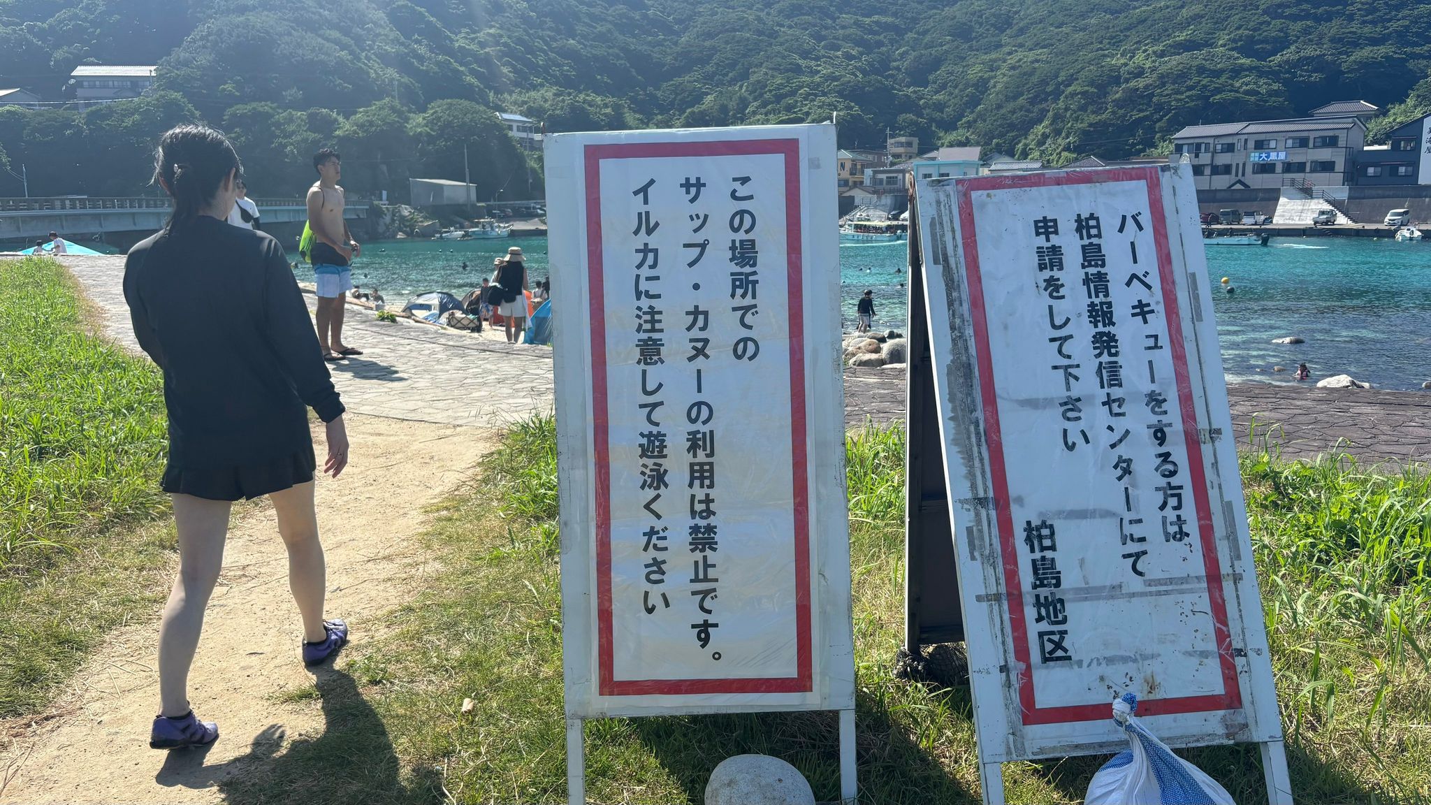 島のビーチに「イルカ注意」の看板 魚の種類がわかるほどの透明度に「仕事ほったらかして、いきてーーー」