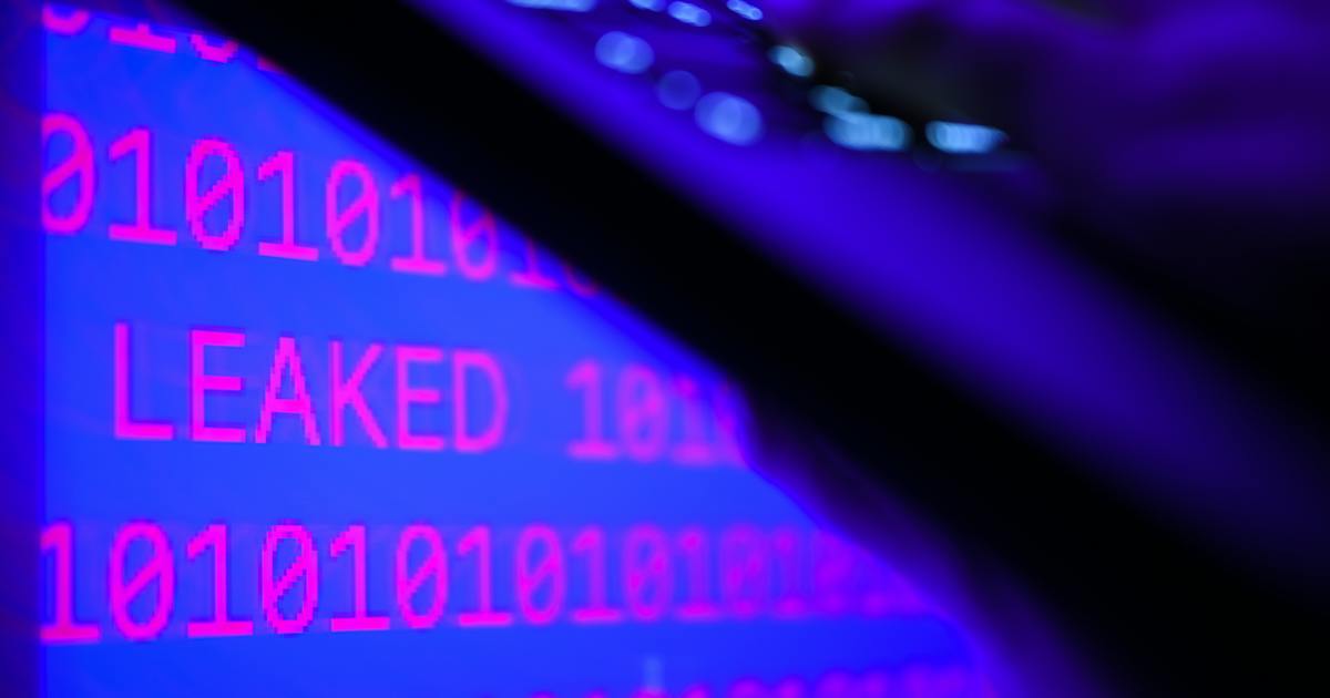 プログラム言語「PHP」欠陥、世界でサイト停止 AIが脆弱性発見