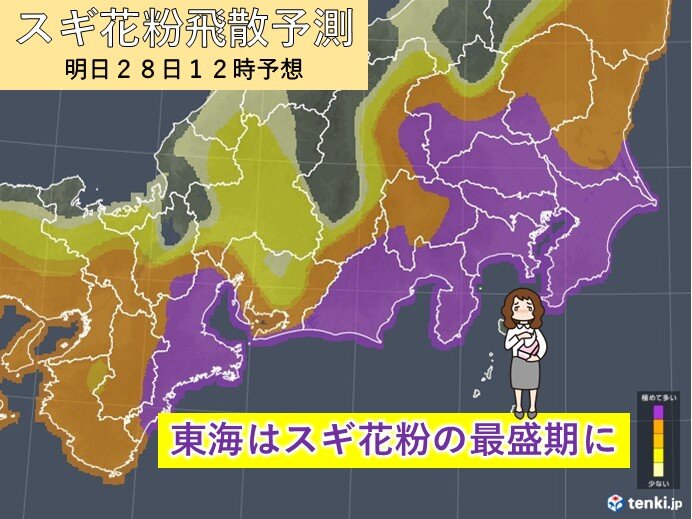 東海はスギ花粉の最盛期に 三重県と静岡県は明日28日以降も「極めて多い」予想