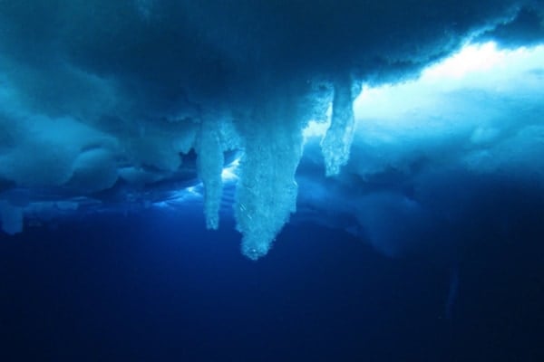 触れた生物を凍らせて海中をゆっくり伸びる自然現象「死の氷柱：ブライニクル」