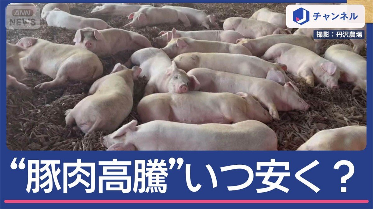 とんかつ店もしゃぶしゃぶ店も悲鳴 国産豚肉“最高値”いつ安く？