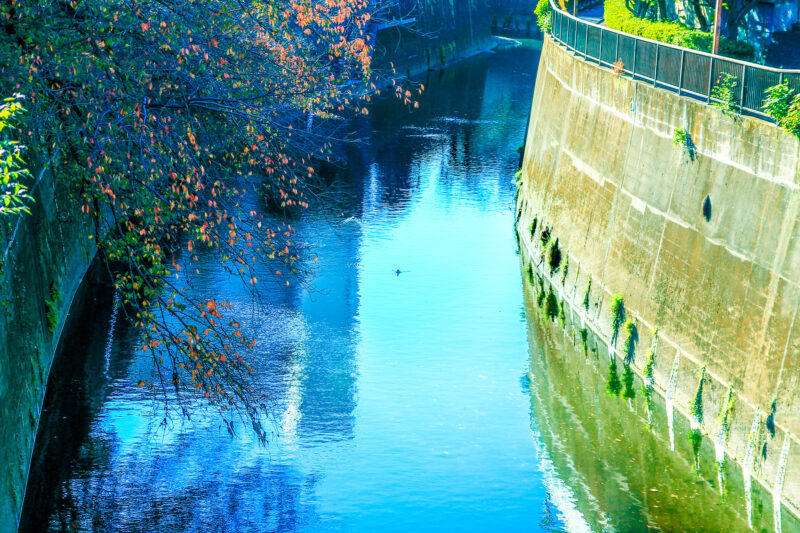 北区民ももちろん注目！東京都公式アプリで1万1000円分のポイント配布だって！