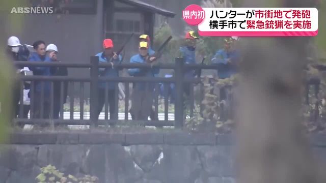 市街地へのクマの出没続く 横手市では県内初の緊急銃猟を実施 けが人はなし 秋田