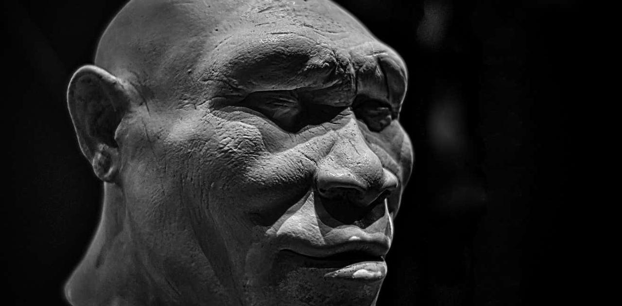 約81万年から93万年前の更新世には、人類はわずか1,280人まで減少していた