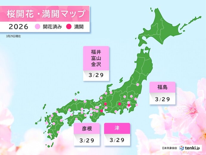29日は福井・富山・金沢・福島などで桜が開花 北陸や東北は気象台の観測で今季初