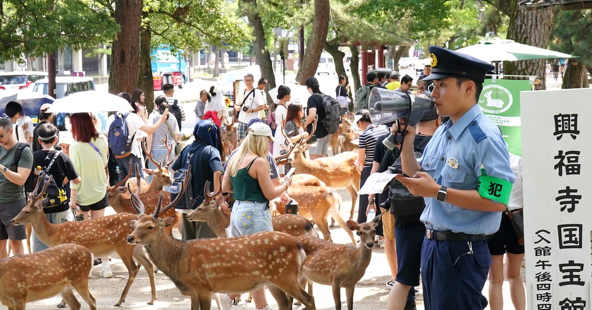 自民・高市氏、奈良のシカを「日本人も外国人も大事に」 観光関係者は「叩く蹴るは日常」