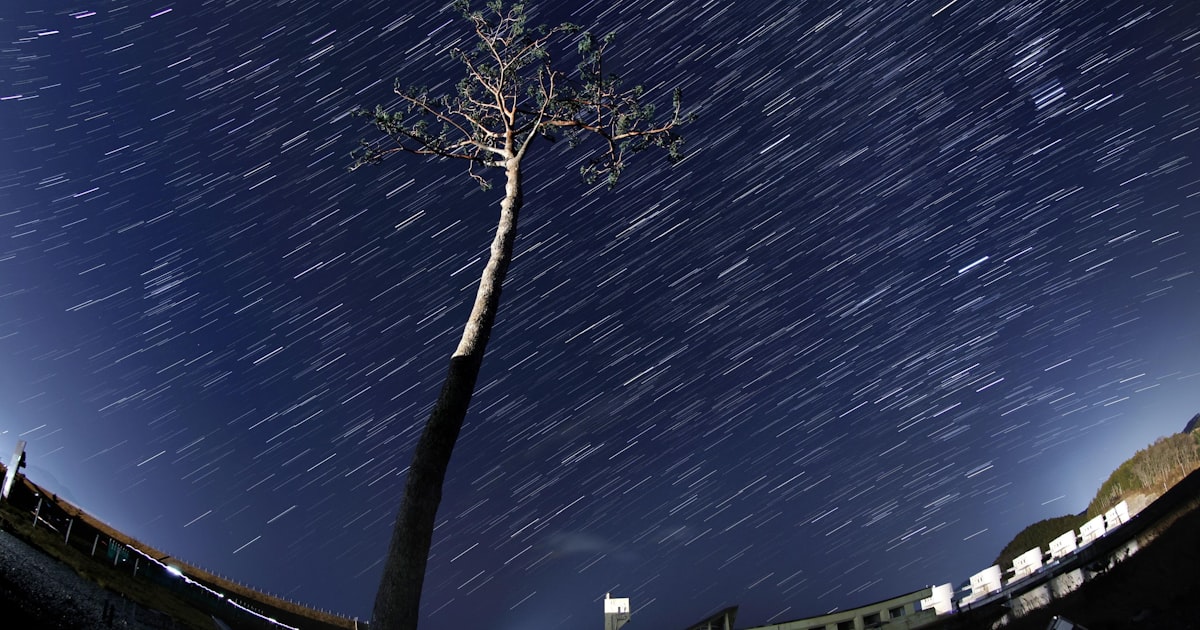 ［社説］震災15年の教訓を「事前復興」の糧に