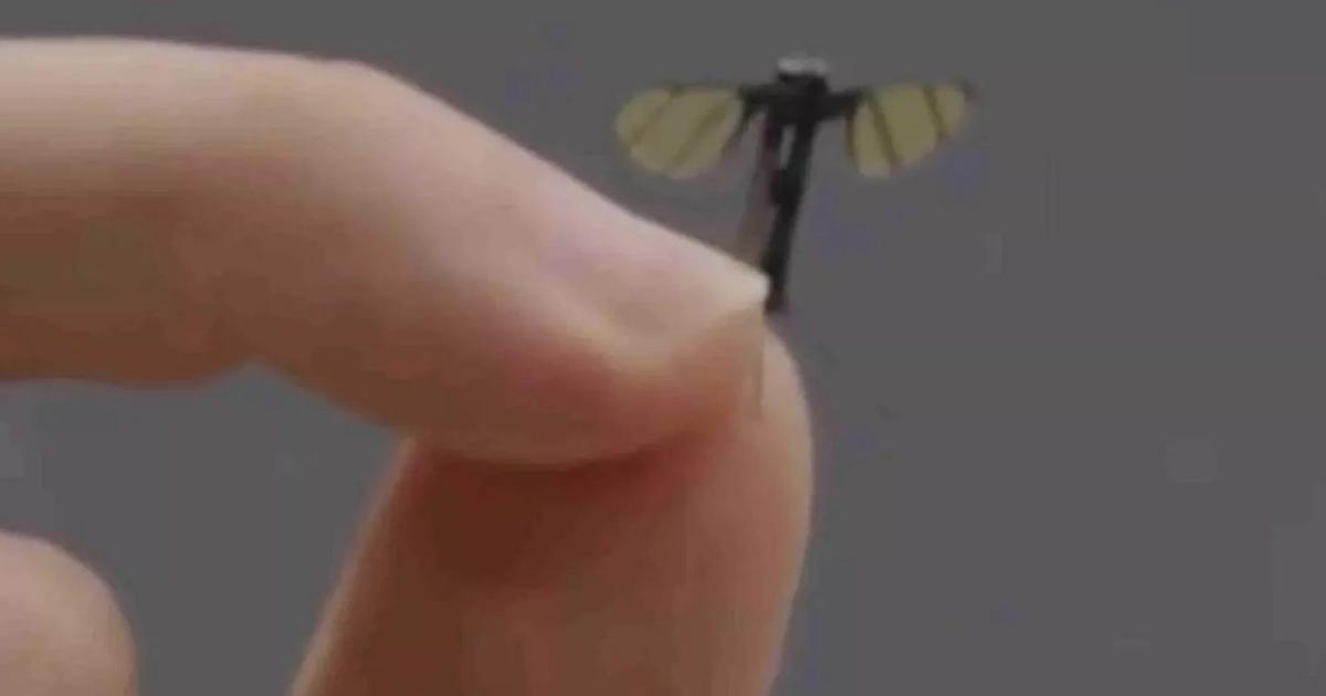 中国が発表した極小のスパイドローン、軍事専門家の見解は？