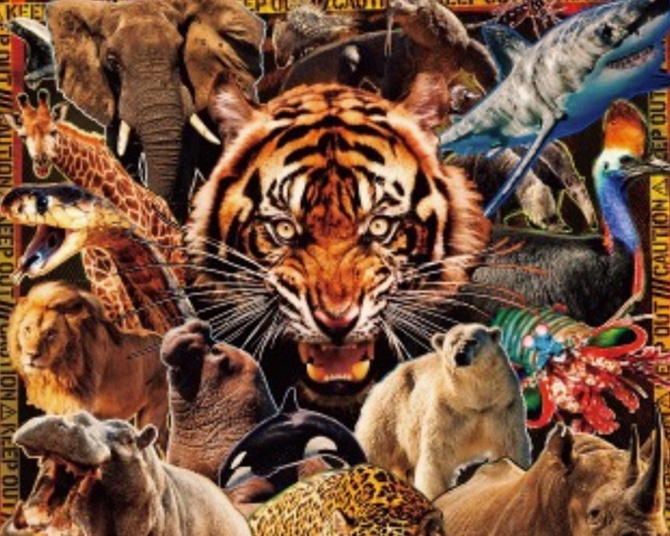 特別展『超危険生物展 科学で挑む生き物の本気』！巨大ワニから猛毒生物まで“本気”を科学で解明