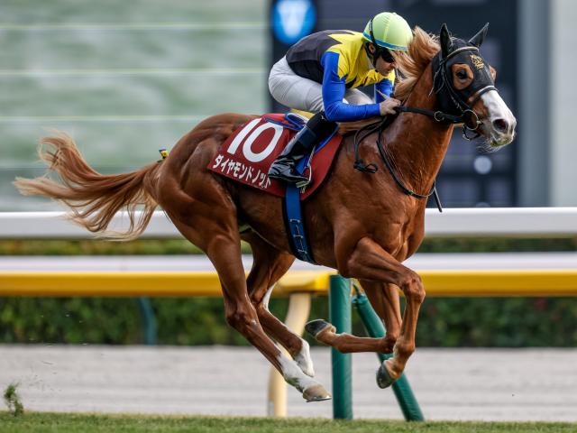 【AI予想・朝日杯FS】血統や過去傾向から狙い目は十分！ 人工知能は過小評価された実績馬に期待