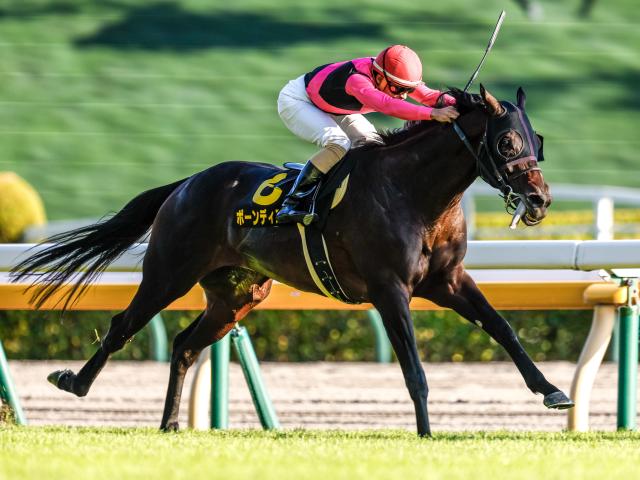 【AR共和国杯予想】明暗が分かれる脚質に注目 AIは穴馬を指名