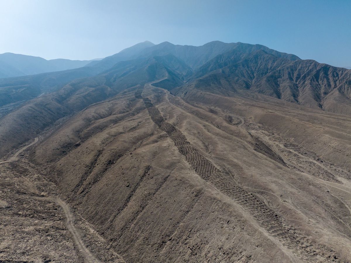 山肌に大蛇？、数千の穴が列をなす遺跡の謎に迫る ペルー
