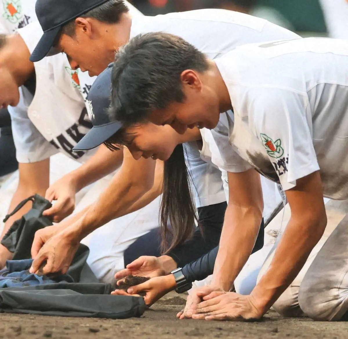 スポニチ Sponichi Annex 野球