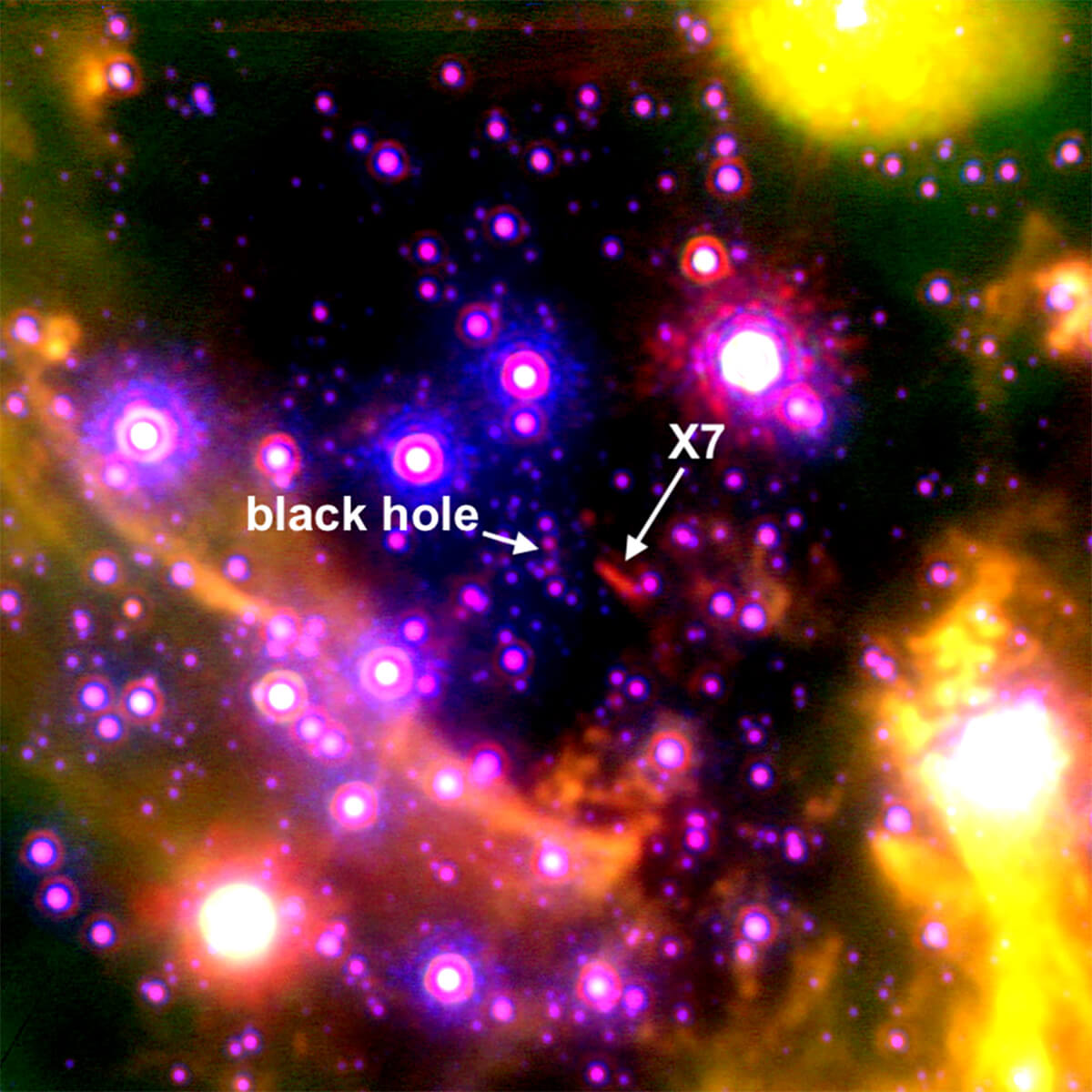 天の川銀河中心部の謎の天体「X7」、2035年頃に「いて座A*」へ最接近する見込み