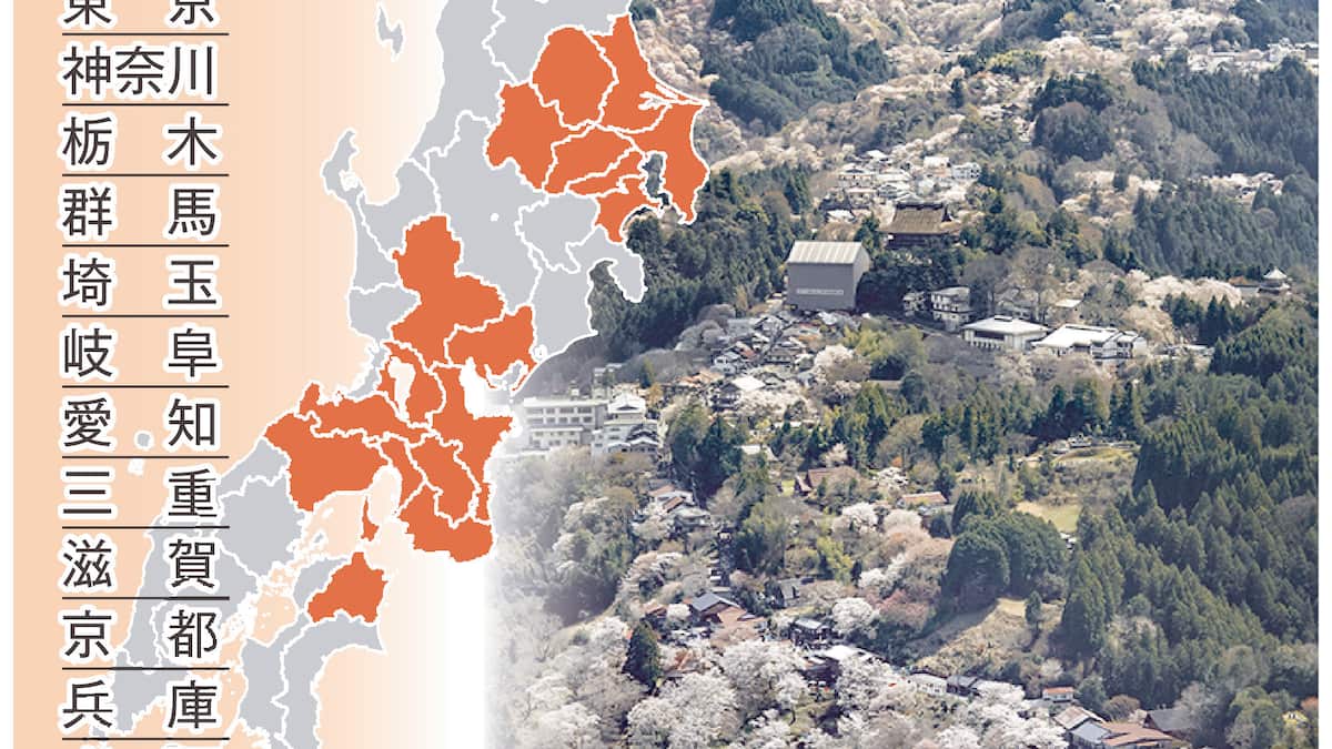 吉野の桜に外来昆虫襲来危機〝フラス〟を確認「思いのほか広がっている」と担当者も衝撃