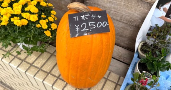 【投票企画】伝わるキャッチコピーはどれだ!? 第17回表現王選手権「ハロウィン」の魅力を端的に伝えろ！