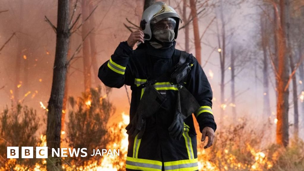 フランスの山火事、ボルドー市まで15キロに迫っていると市長