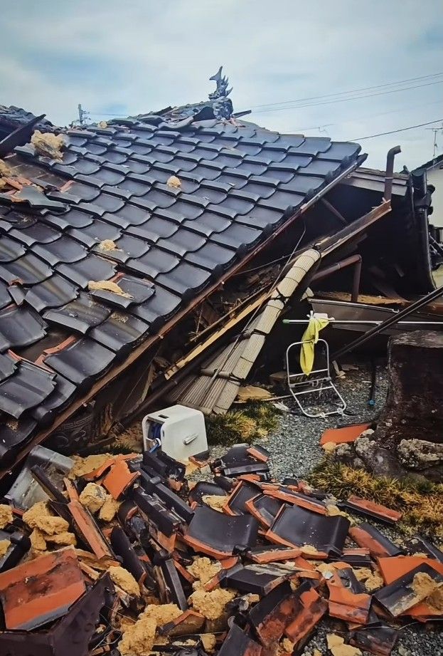 【熊本地震】全壊した家から消えた兄弟猫 「ふたりとも生きて帰ってほしい」必死の捜索で家族と再会