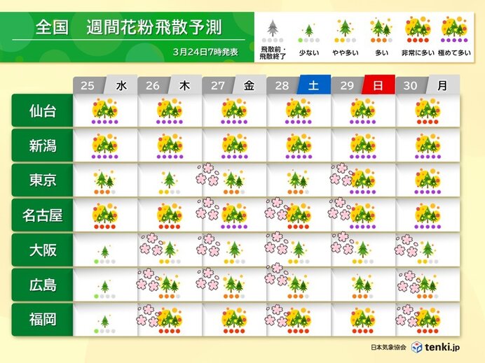 九州から関東はヒノキ花粉のピークへ スギ花粉もまだ飛ぶ お花見の際は花粉対策を