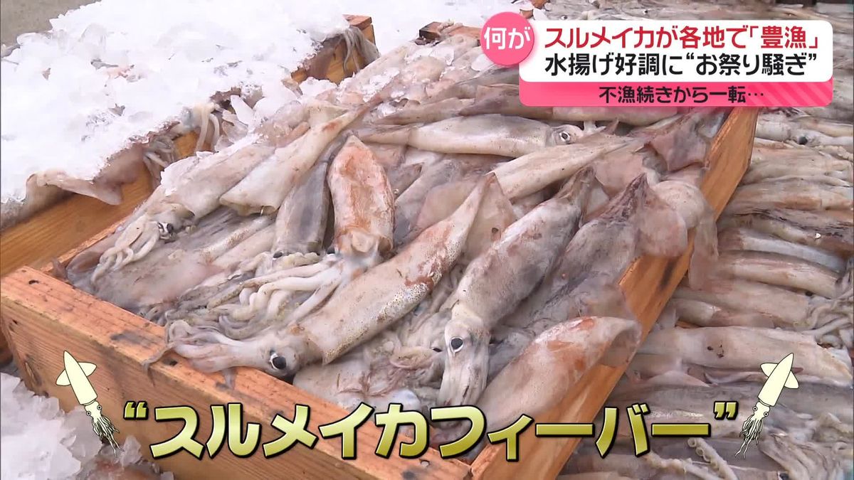 “スルメイカフィーバー”不漁続きから一転、水揚げ好調 クロマグロも豊漁…厄介者に？