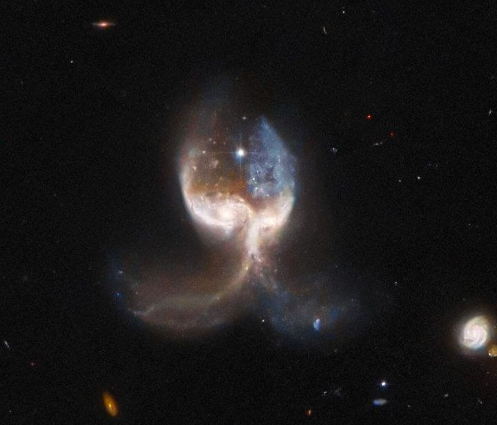 天使の翼のような相互作用銀河「VV689（Angel Wing）」