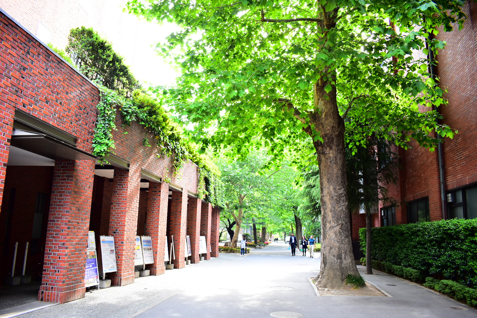 【関東・甲信越の女子高校生が選ぶ】「志願したい大学」ランキングTOP20！ 第1位は「立教大学」【5月5日は「立教学院創立記念日」】