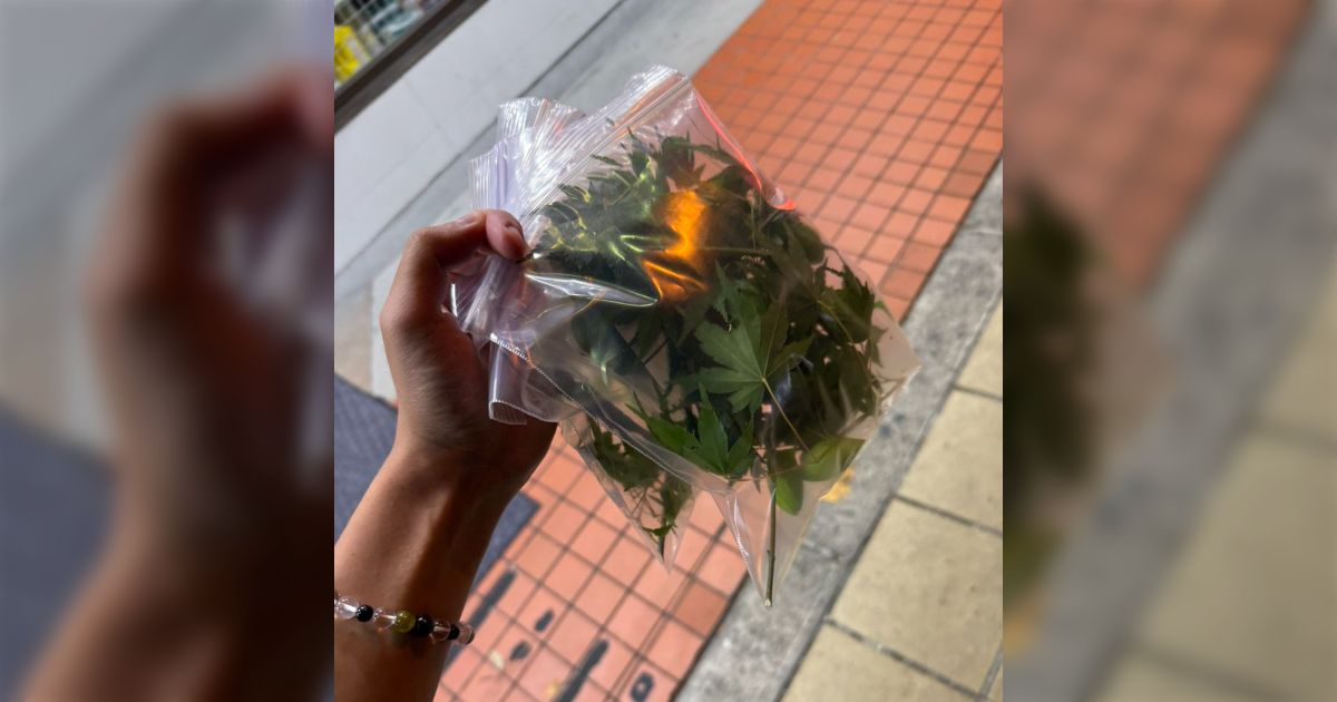 【閲覧注意】袋に入れた葉っぱを持っていたら職務質問された結果、お巡りさんドン引き「場所も悪いし見た目もソレすぎ」