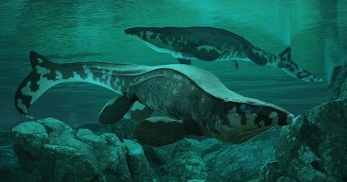 新種「海のTレックス」を発見、体長13m超の頂点捕食者