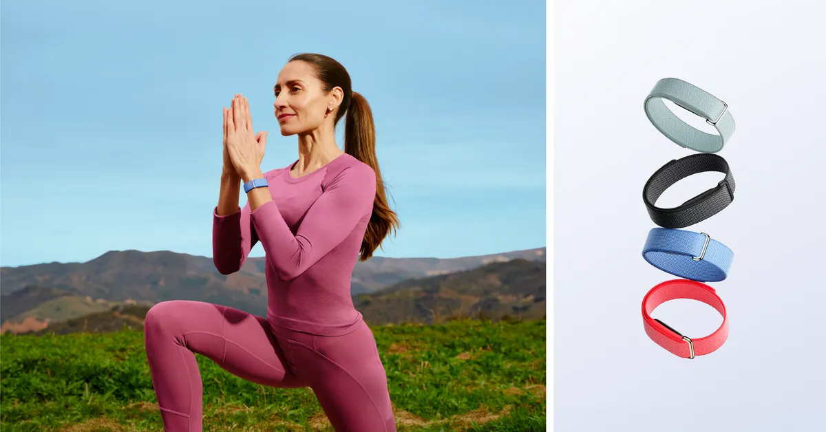 Google、画面がないフィットネストラッカー「Fitbit Air」発表 Geminiが“専任コーチ”に