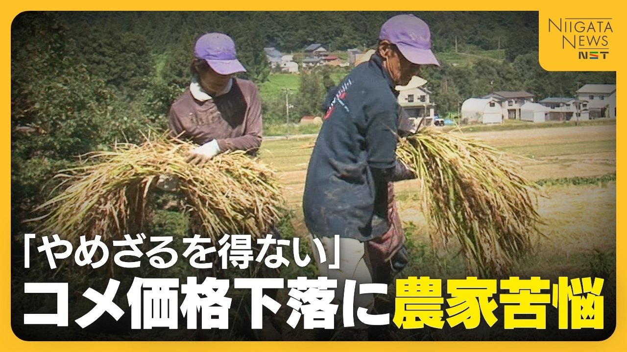 【コメ農家】「完全に赤字…やめざるを得ない」コメの価格下落に危機感…“猫の目農政”に魚沼コシの産地からも悲痛な声（FNNプライムオンライン）
